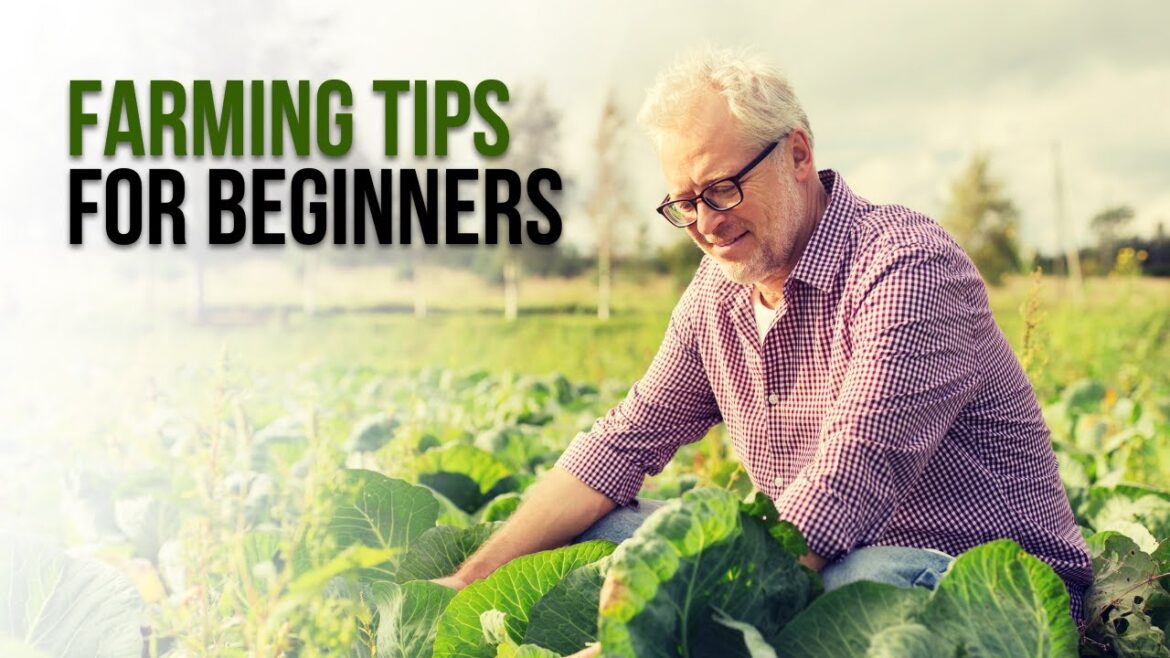 Self-Sustaining Permaculture Garden: No Watering, Full Food Supply! Self-Sustaining Permaculture Garden: No Watering, Full Food Supply!