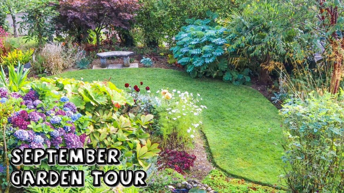 Gorgeous September Garden Tour in 4k || Big Changes & Flowers for Later Interest || All Plant Names