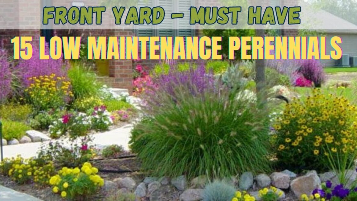 Front Yard Landscaping – Must Have Low Maintenance Perennials | Best Companion Plants For Front Yard Front Yard Landscaping - Must Have Low Maintenance Perennials | Best Companion Plants For Front Yard