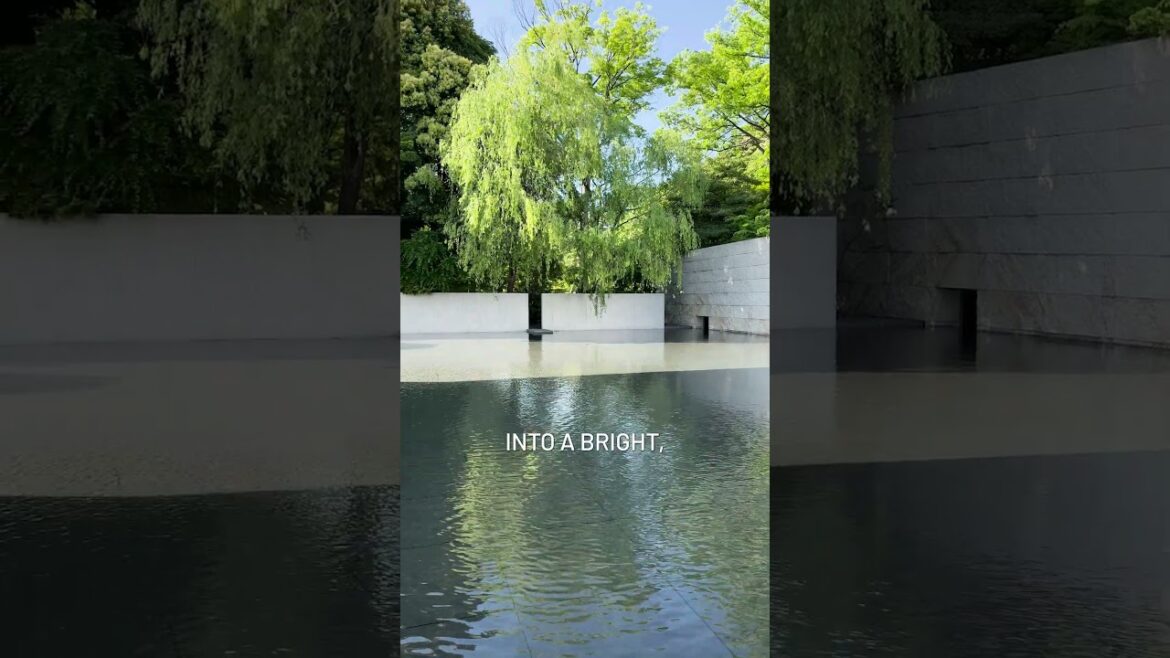 This Place Feels Like Water #architecture #japan This Place Feels Like Water #architecture #japan