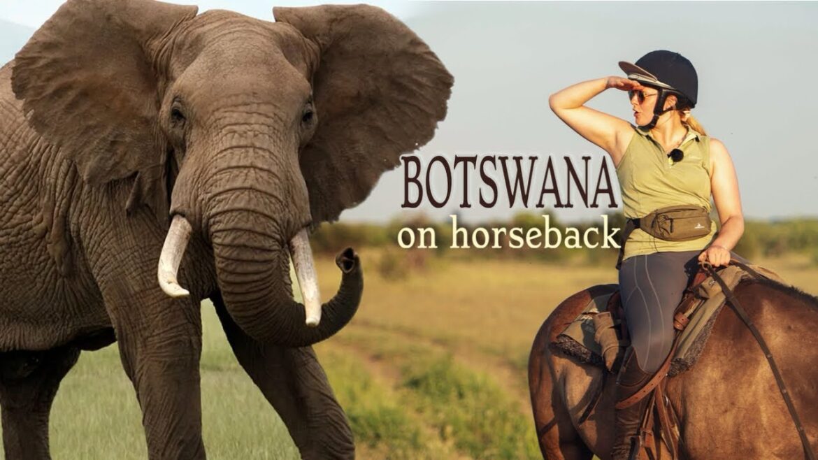 Meeting Elephants on Horses ~ Botswana Safari (Part 1)