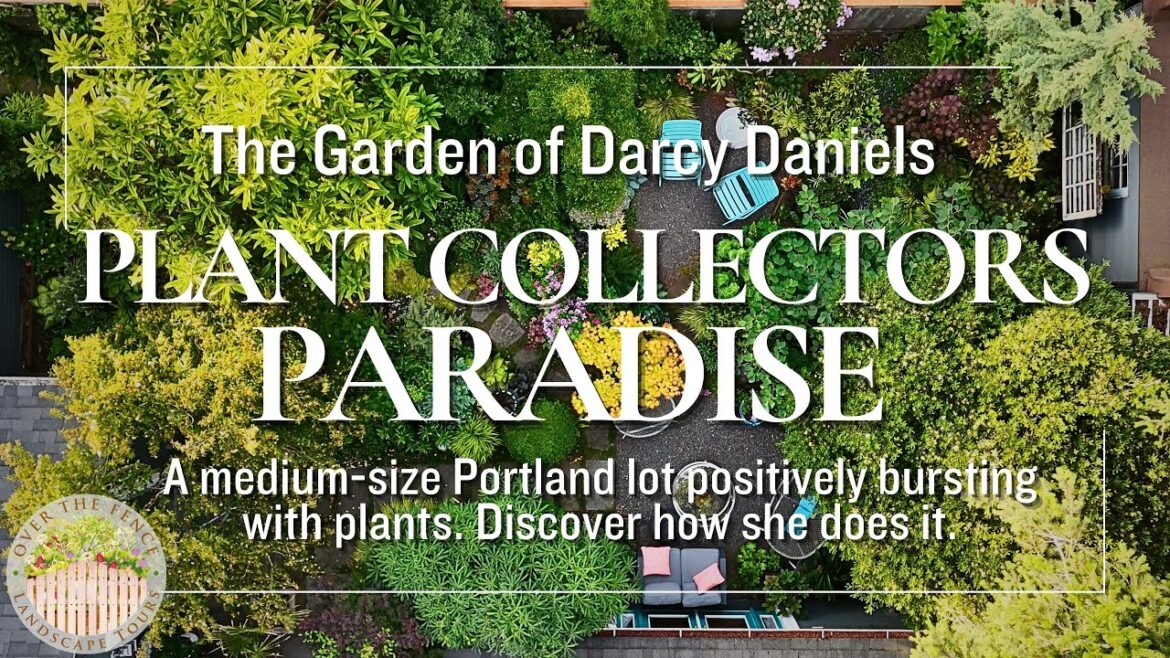 Darcy Daniels’ Fairytale Portland Garden Bursting with Plants