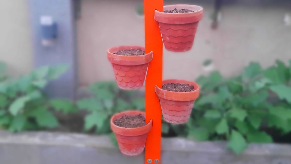 DIY Beautiful Garden Idea | Amazing Garden Design And Decoration Ideas Easy And Beautiful | At Home