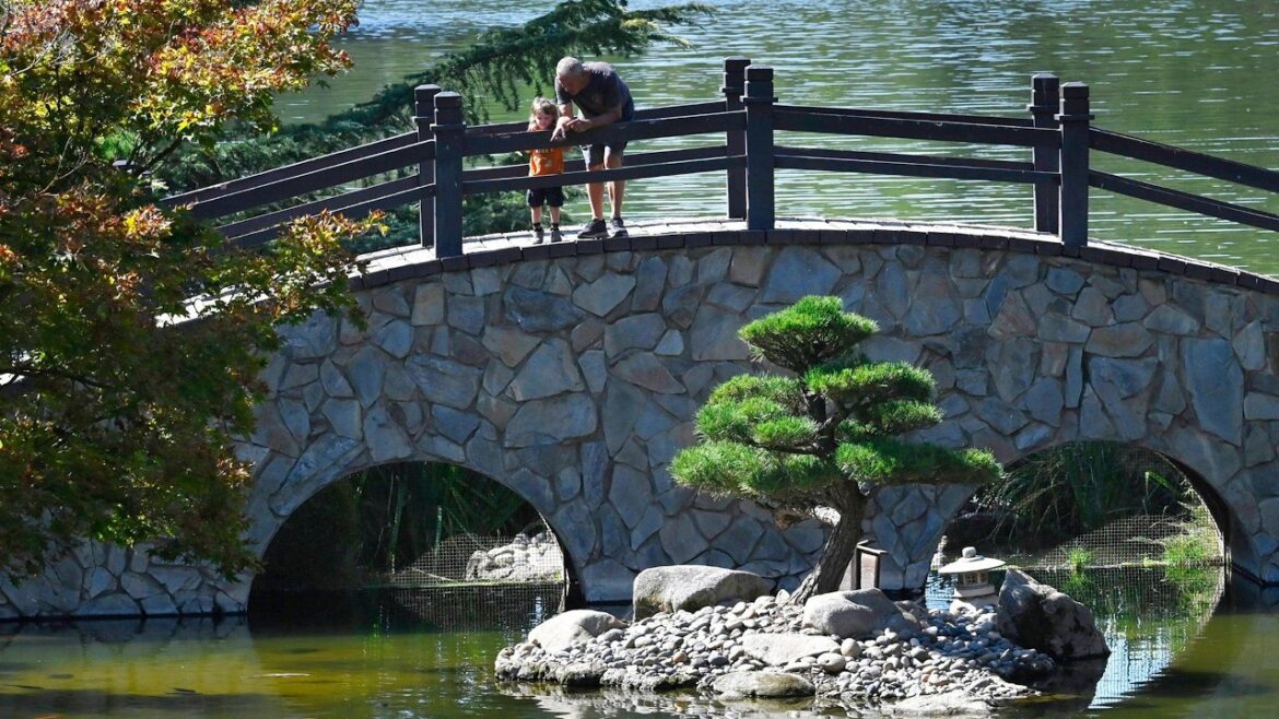 Take A Look Inside Fresno’s Hidden Garden Of Serenity