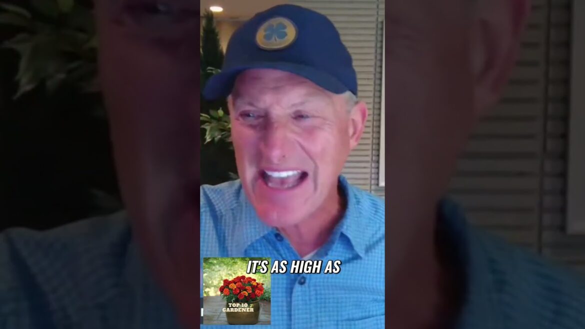 Boost Your Container Garden Boost Your Container Garden