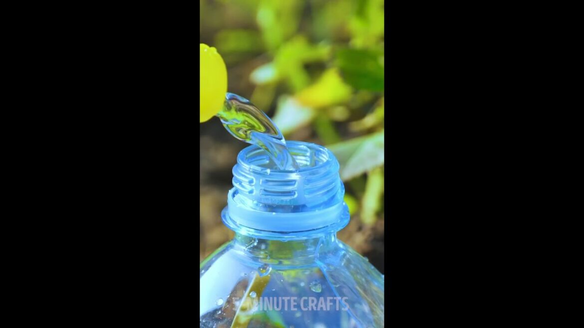 Watering Hack for Flowers 🌹 #watering #rose #flower