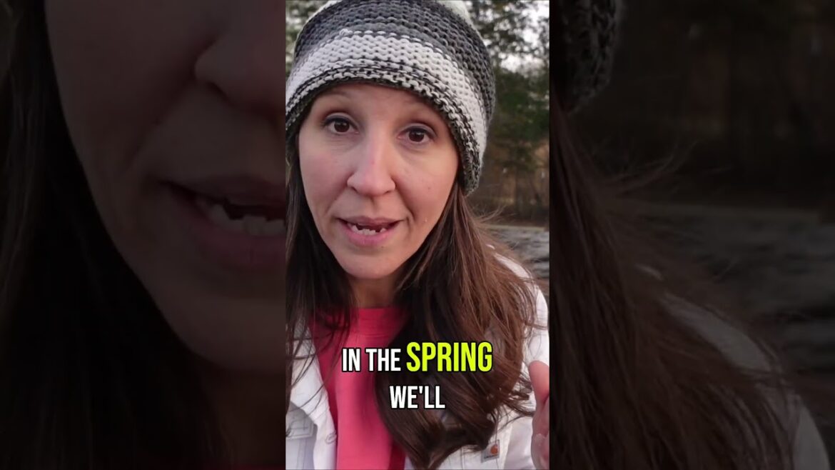 Transforming Your Garden with Effective Weed Control Strategies #gardening #homestead #garden Transforming Your Garden with Effective Weed Control Strategies #gardening #homestead #garden