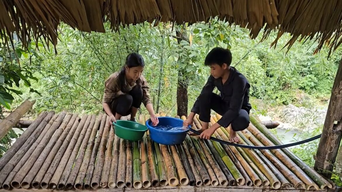 Homeless boy harvesting stream fish to sell, gardening vegetables