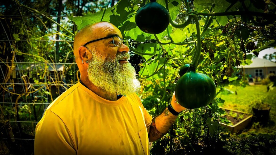 Homestead garden tour we are fully planted! Homestead garden tour we are fully planted!