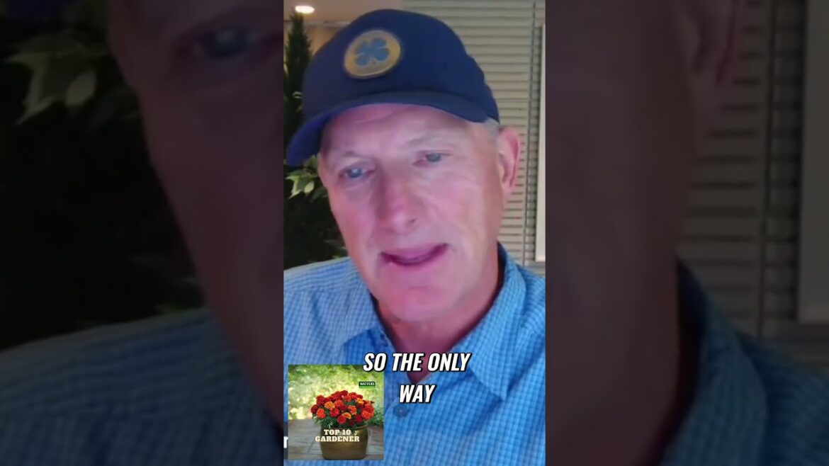 How to Protect Your Garden from Sneaky Javelinas