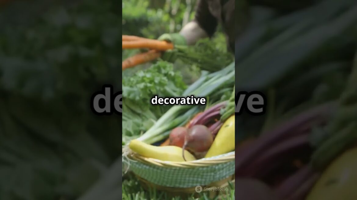 5 Essential Steps to Growing a THRIVING Vegetable Garden 5 Essential Steps to Growing a THRIVING Vegetable Garden