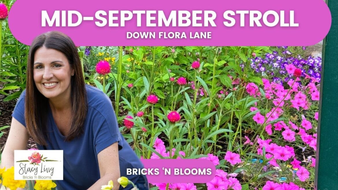 Cottage Garden Charm in Autumn 🌸🍂 Late-Season Blooms & Mixed Border Plans