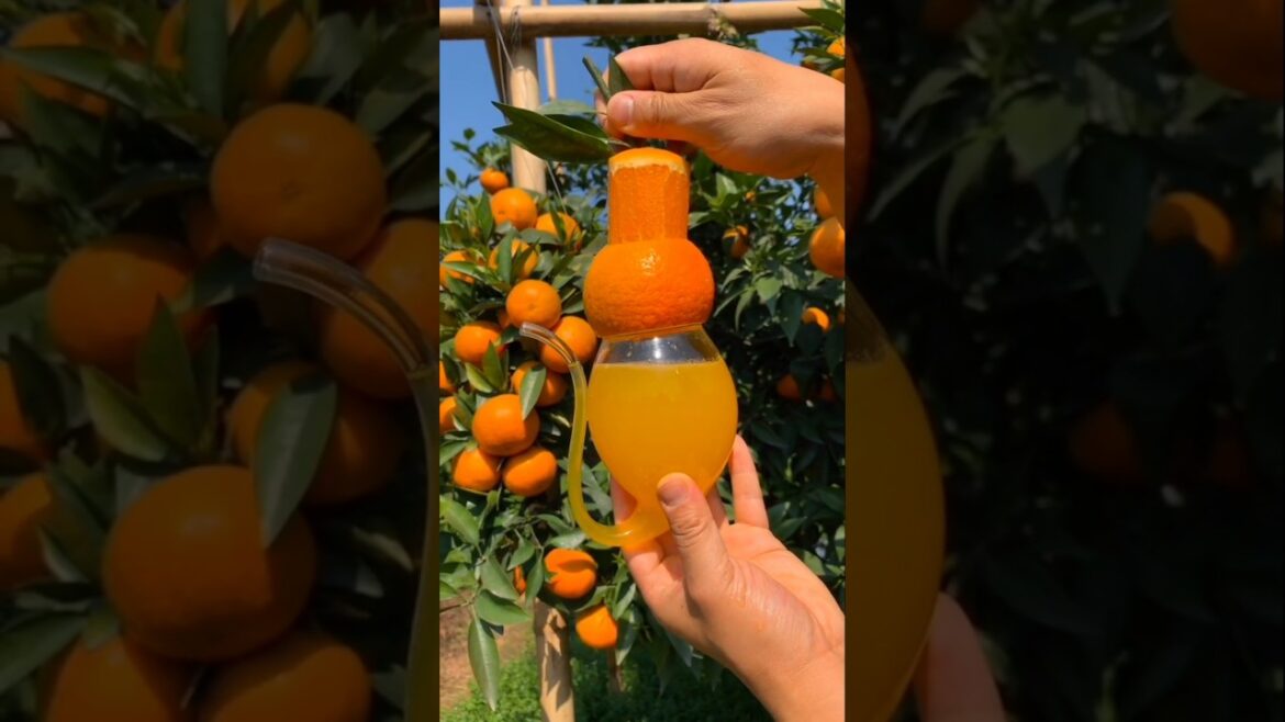 CUTTING FRUIT 100 DIFFERENT WAYS!