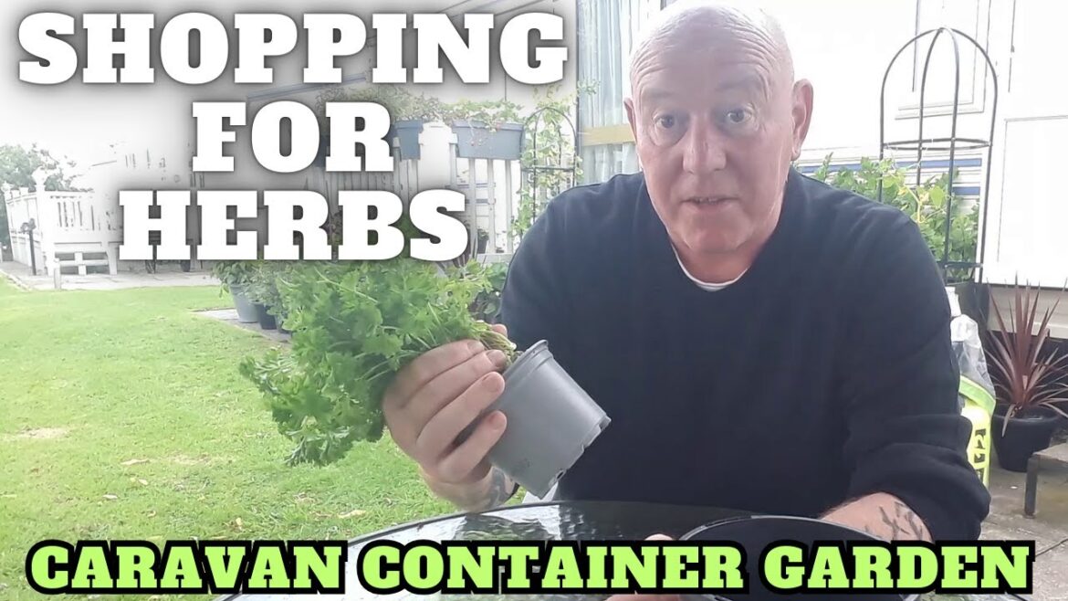 Shopping For Herbs [Container Gardening ]