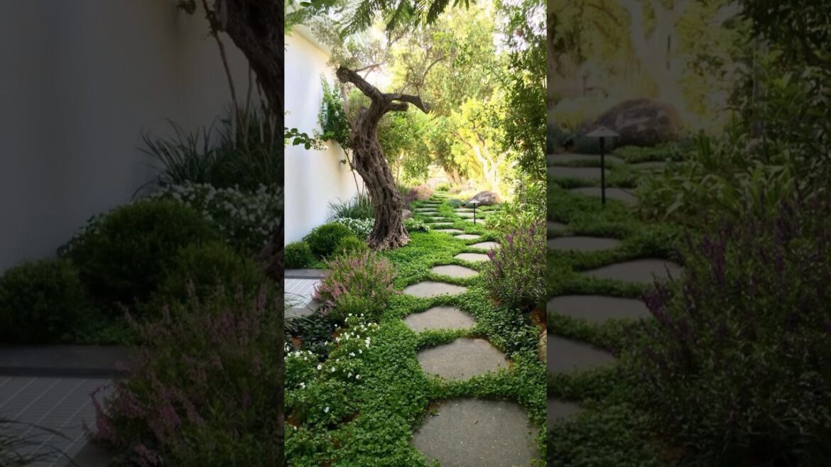Beautiful GARDEN ideas