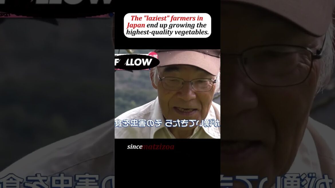 This “lazy” farmer neither plows nor waters his fields, yet he’s the most popular with customers. This "lazy" farmer neither plows nor waters his fields, yet he's the most popular with customers.