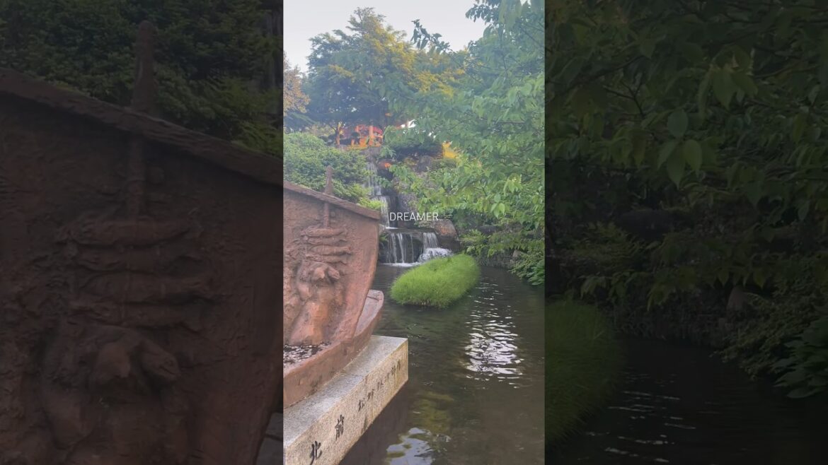 beautiful japanese garden #youtubeshorts #japan #travelvlog