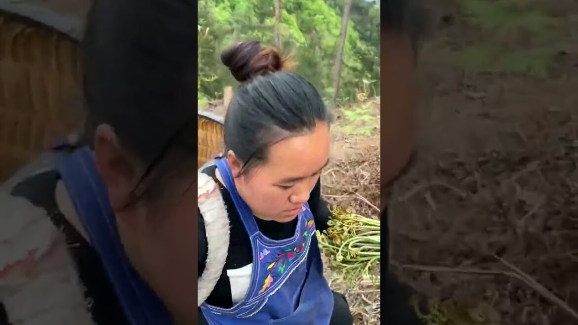 3414 🍀🥒🏺🥝🥭 #landscape #farmlife #countryliving #nature #photooftheday