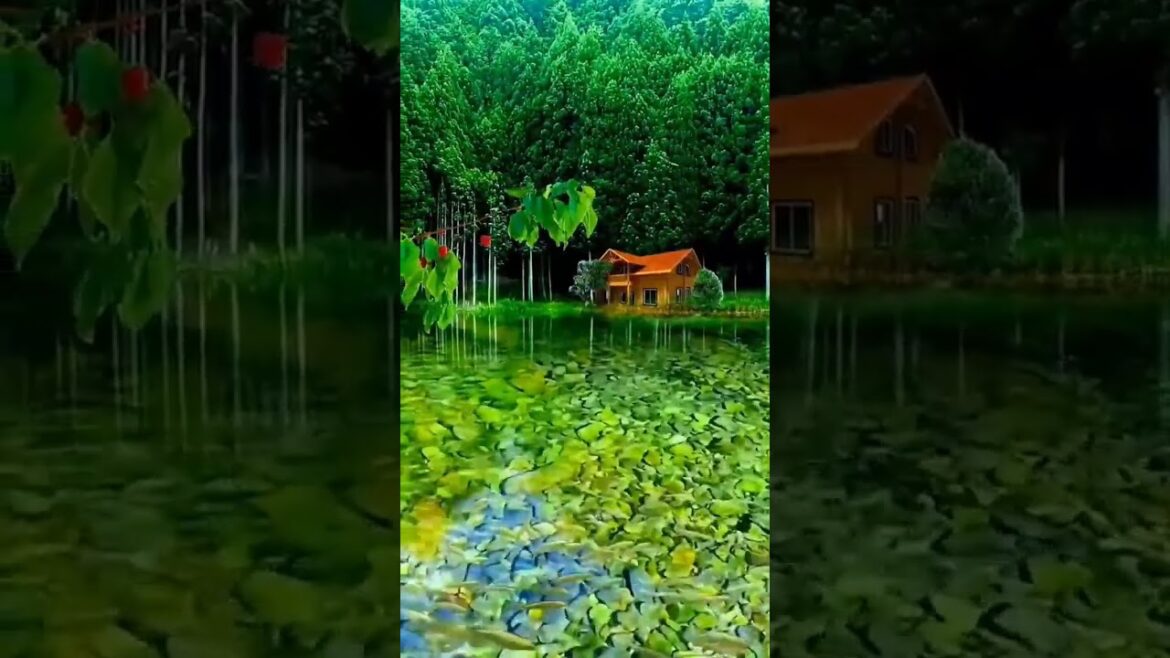 Beautiful flowers | Beautiful nature flowering #shorts