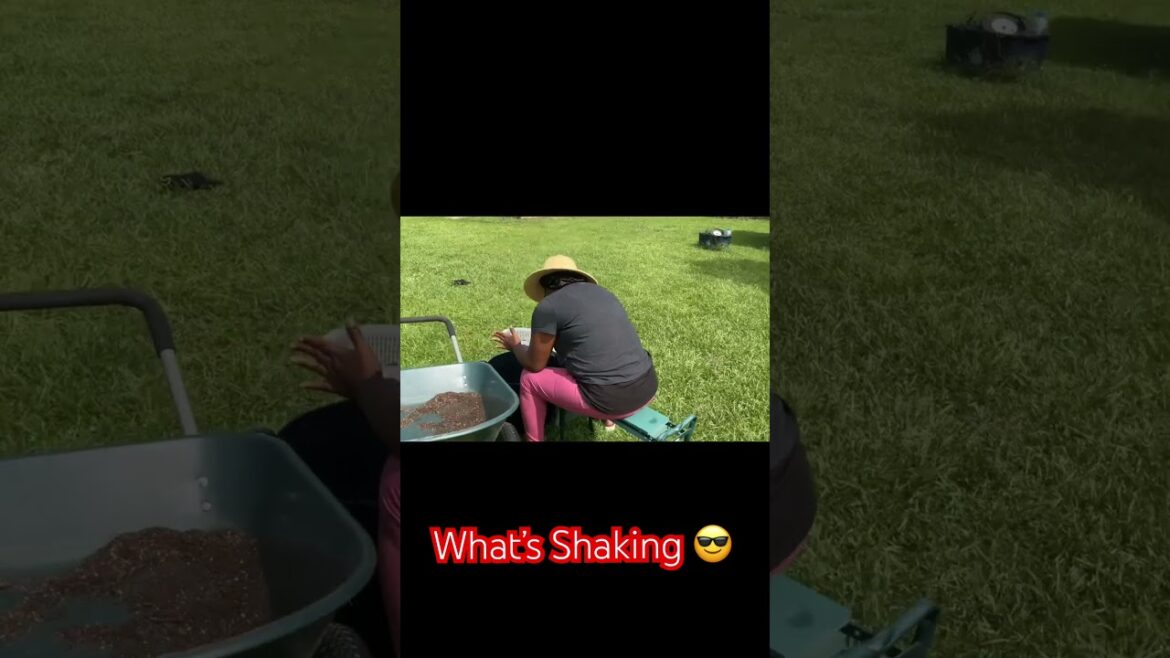 We’re shaking things up in the JOY garden #containergarden #raisedbedgardening