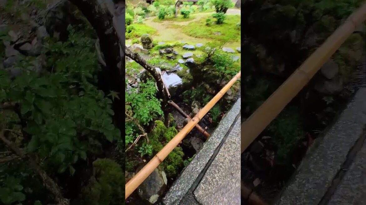 Japanese Garden Pt.1
