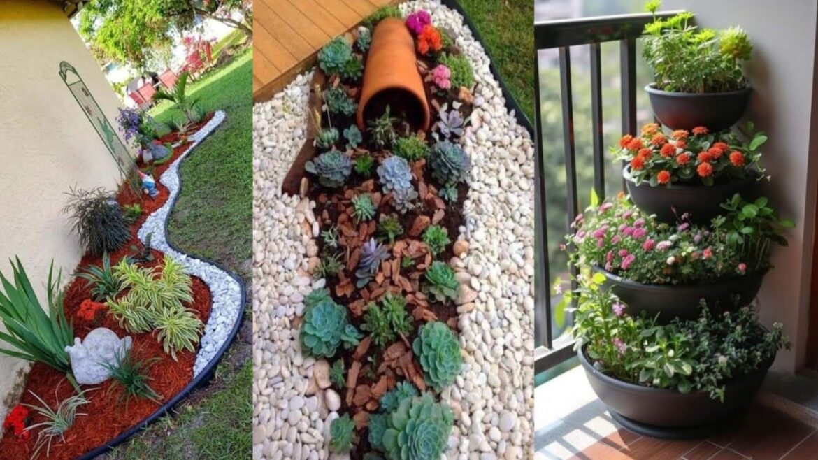 Beautiful small Corner Rock Garden ideas/Modern garden decor ideas/backyard garden decoration ideas Beautiful small Corner Rock Garden ideas/Modern garden decor ideas/backyard garden decoration ideas