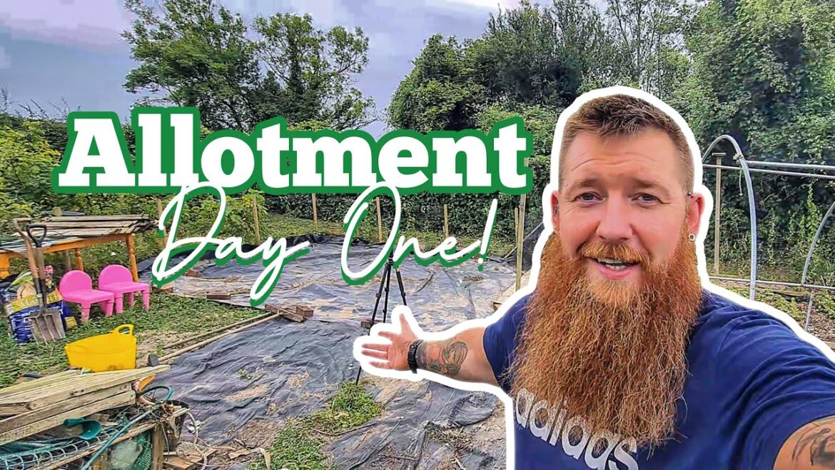 Starting My Allotment Journey | Tour, Prep & Plans for Next Season | Living Naturally Wild
