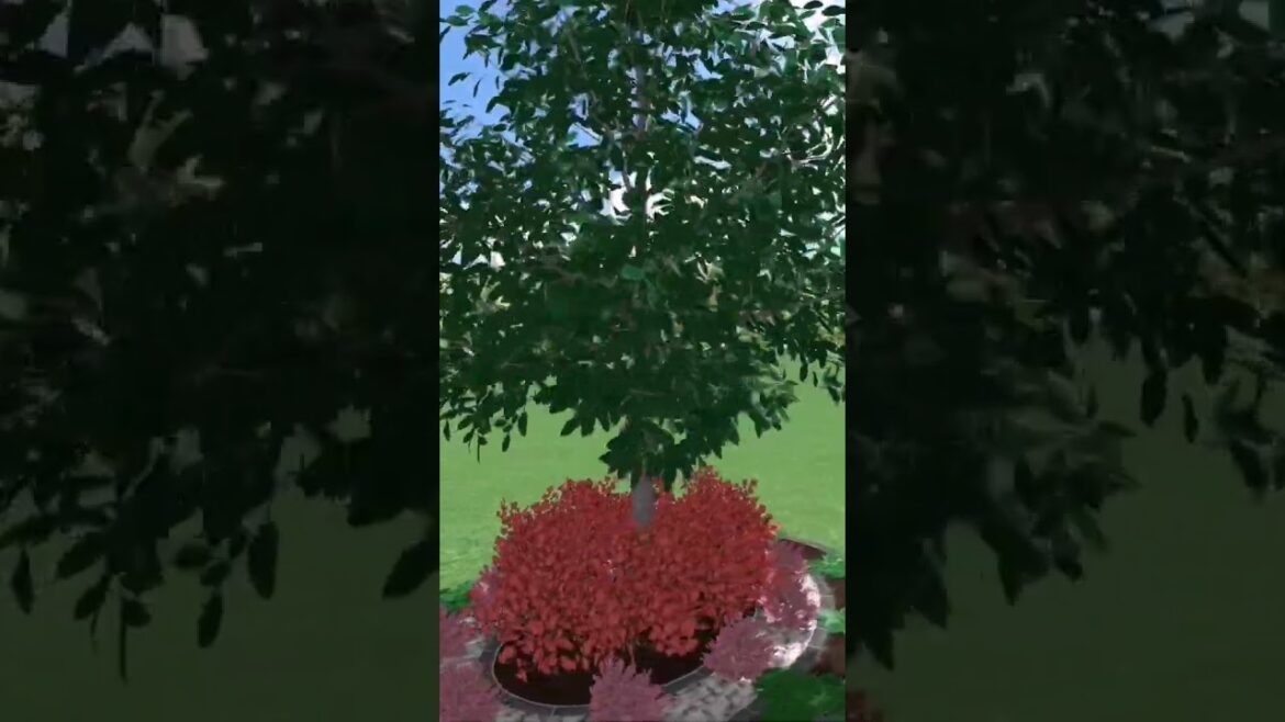 Beatyful Tree #backyard #landscapedesignideas #gardendesign #architecture #home #gardenlandscaping