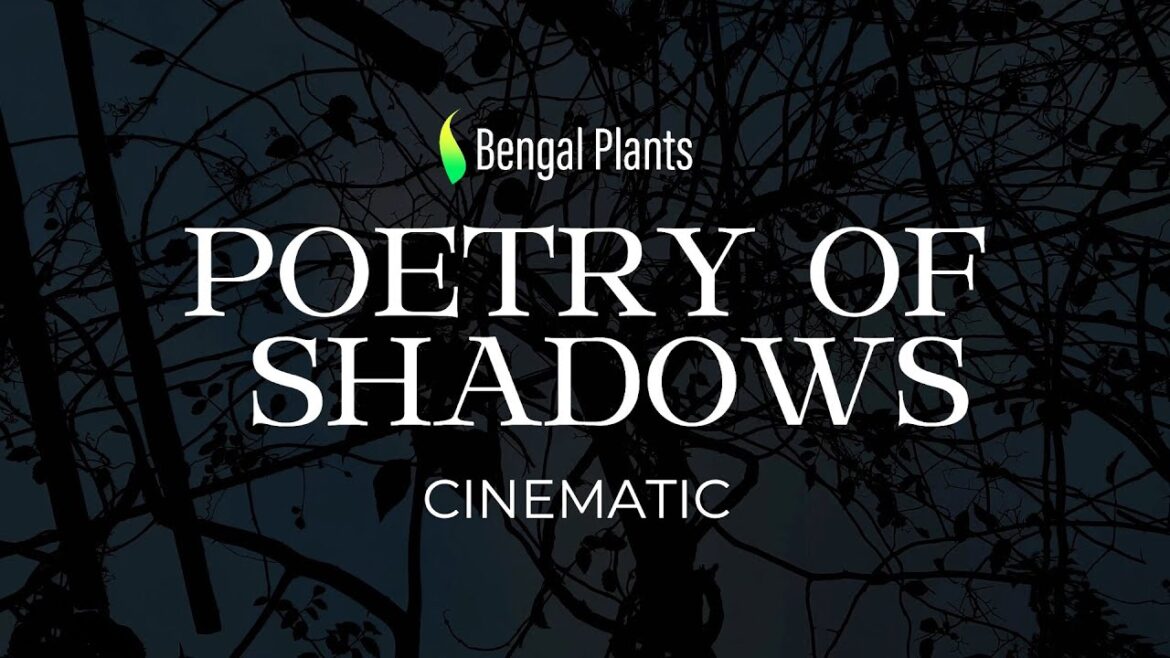 Bengal Plants - POETRY OF SHADOWS #cinematic  #garden #nature