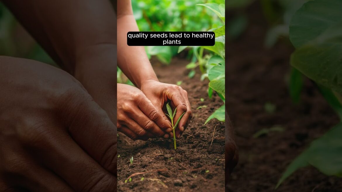 Affiliate Marketing Tip: The Gardener's Path to Success