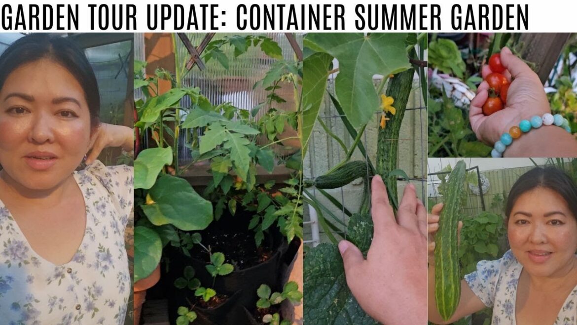 Garden tour: Container garden/summer garden
