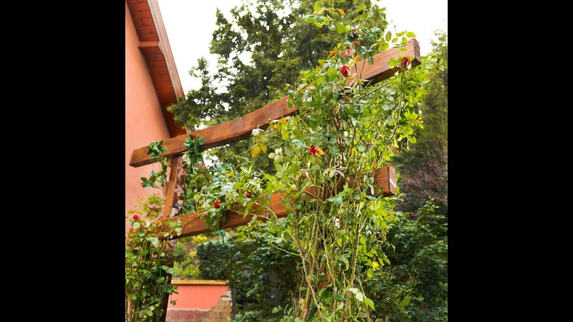 “Building a Stunning Torii Gate for My Roses! 🌹✨ "Building a Stunning Torii Gate for My Roses! 🌹✨