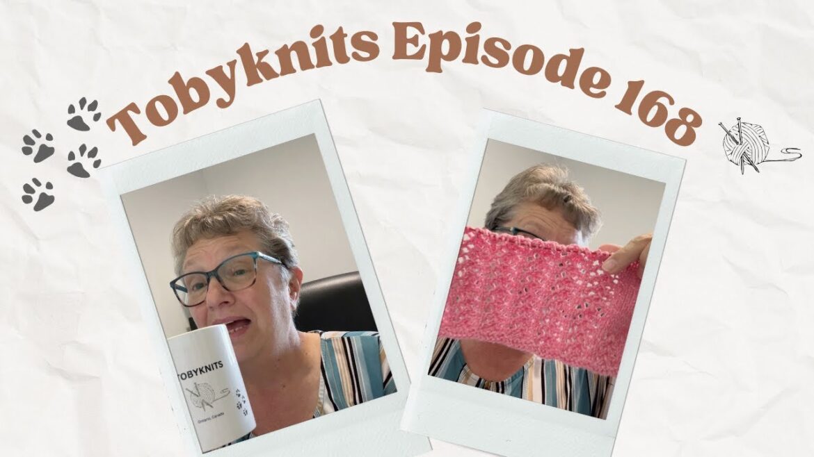 Tobyknits Podcast Episode 168 - Stash it or Knit it!!!