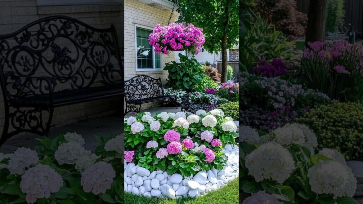 Beautiful GARDEN ideas