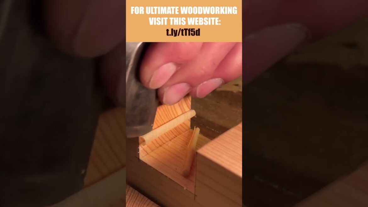 Let's Chisle!  #precisionwoodworking #wood #woodworkinginnovation #woodworkingcommunity