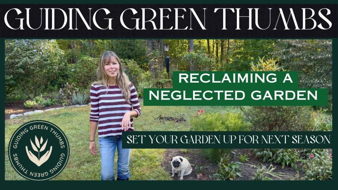 HOW TO RECLAIM A NEGLECTED GARDEN // SET YOUR GARDEN UP FOR NEXT SEASON, NOW! // FALL BLOOM TOUR