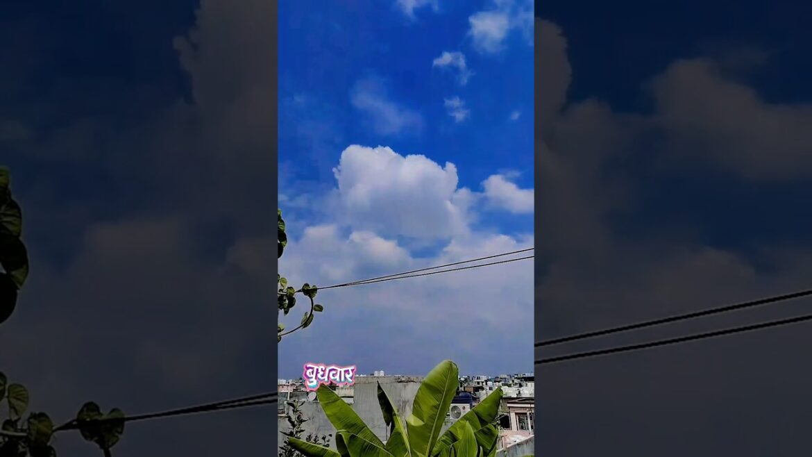 Fresh  views on #music #song #nice #sorts #youtubeshorts #viralvideo #viralshorts