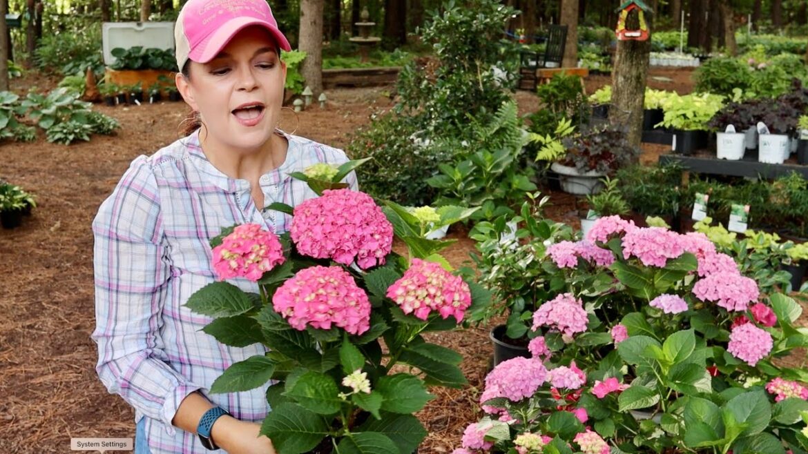 Get Inspired: Summertime Shade Garden Ideas