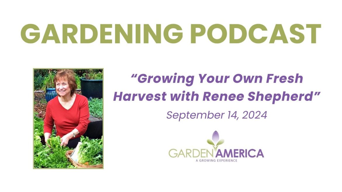 Growing Your Own Fresh Harvest with Renee Shepherd - Garden America Podcasts & Radio Show [9.14.24]