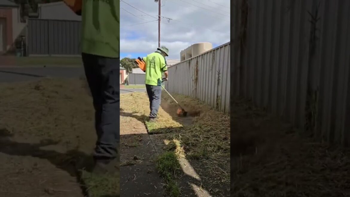 Is your front yard looking wild and overgrown?