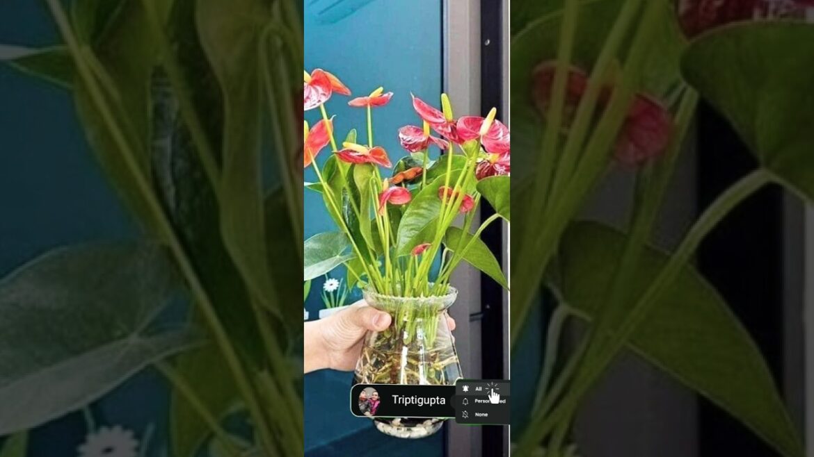 Happy gardening |bottle plants|#trending #famousshort #song #homedecor #gardendesign #balconygarden