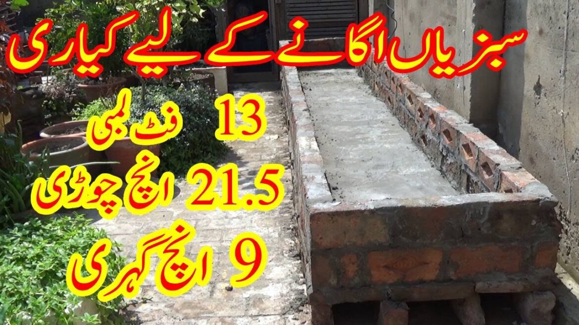 The 5 Most Crucial Keyari Tips for Maximum Harvest | vegetable gardening The 5 Most Crucial Keyari Tips for Maximum Harvest | vegetable gardening