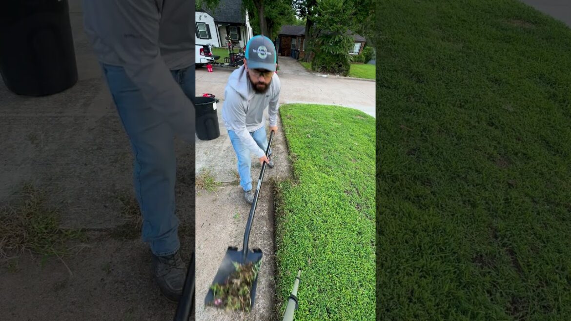 This Property EATS Through EDGER BLADES Like Crazy! #Satisfying This Property EATS Through EDGER BLADES Like Crazy! #Satisfying