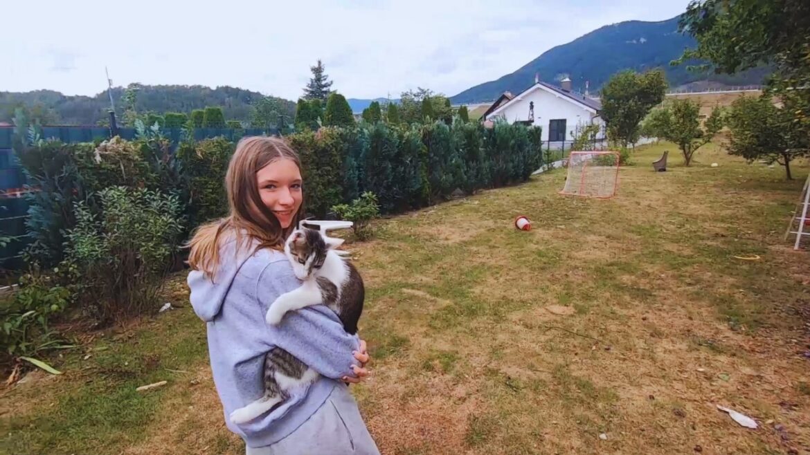 Graham Family Vlog, Renovation Plans & Updates Graham Family Vlog, Renovation Plans & Updates