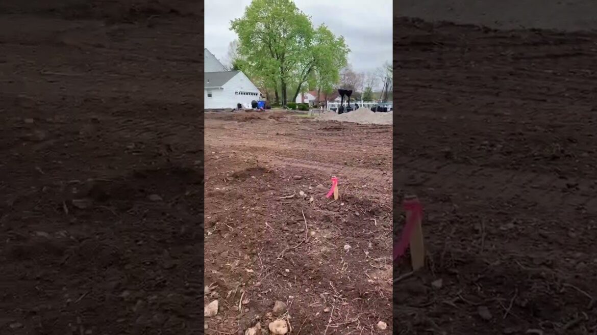 Backyard Clean Up #grading #backyarddesign #landscape