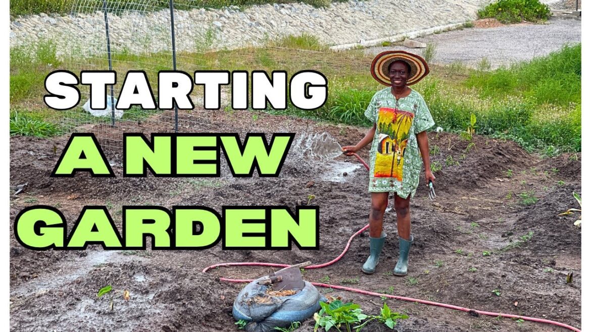 GROWING MORE VEGETABLES AT OUR BACKYARD GARDEN / Starting a new backyard garden