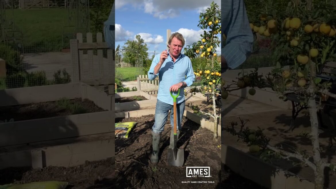David Domoney: AMES Garden Tips - Don't Dig Wet Soil