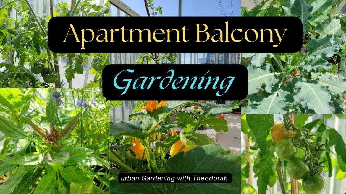 Big healthy tomatoes& leafy vegetables in Container garden || Balcony Gardening #garden #food #plant