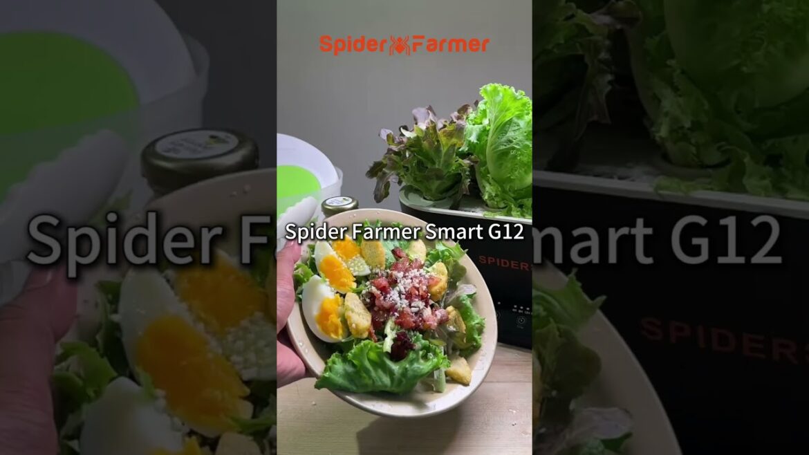 Autumn Garden Plans Are Here!  #indoorgardening  #spiderfarmerled  #growlight  #grow