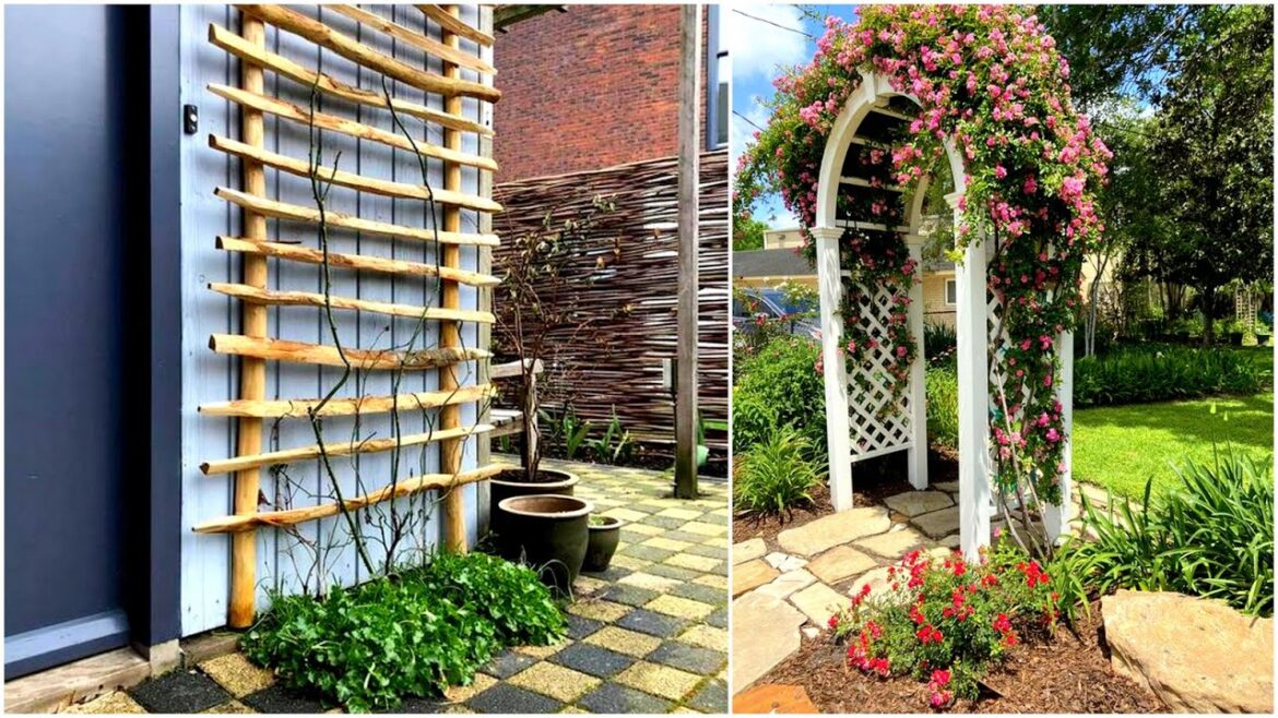 100 DIY Garden Trellis and Arbor Ideas for Backyard, Cottage, Farmhouse ! Garden Decorating Ideas 100 DIY Garden Trellis and Arbor Ideas for Backyard, Cottage, Farmhouse ! Garden Decorating Ideas